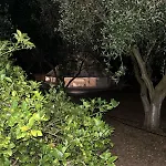 Eco Glamping With Pool Between Nafplio And