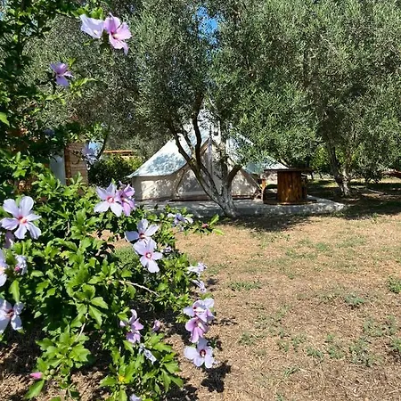 Eco Glamping With Pool Between Nafplio And Campsite