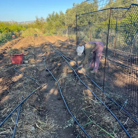 Kamp alanı Eco Glamping With Pool Between Nafplio And