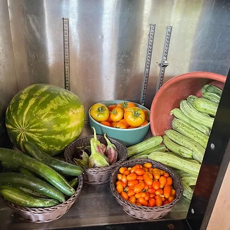 Kamp alanı Eco Glamping With Pool Between Nafplio And Argos