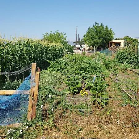 Eco Glamping With Pool Between Nafplio And *
