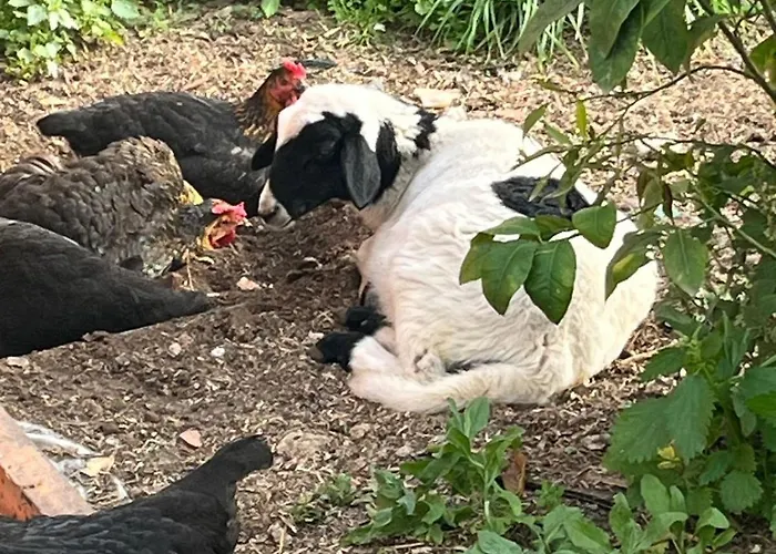 Eco Glamping With Pool Between Nafplio And