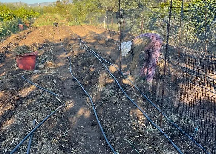Кемпинг Eco Glamping With Pool Between Nafplio And