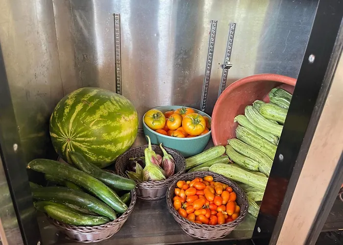 Кемпинг Eco Glamping With Pool Between Nafplio And Аргос