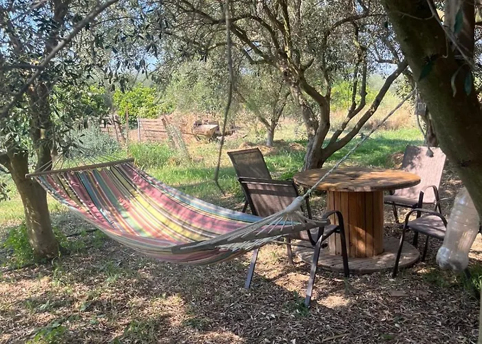 캠프장 Eco Glamping With Pool Between Nafplio And *