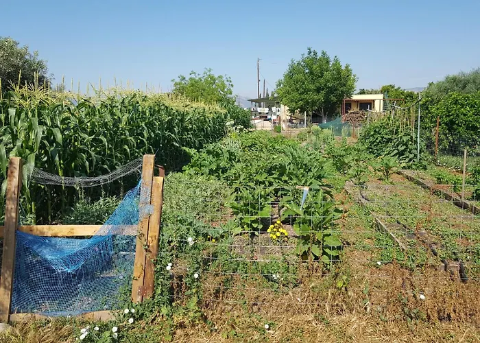 Eco Glamping With Pool Between Nafplio And *
